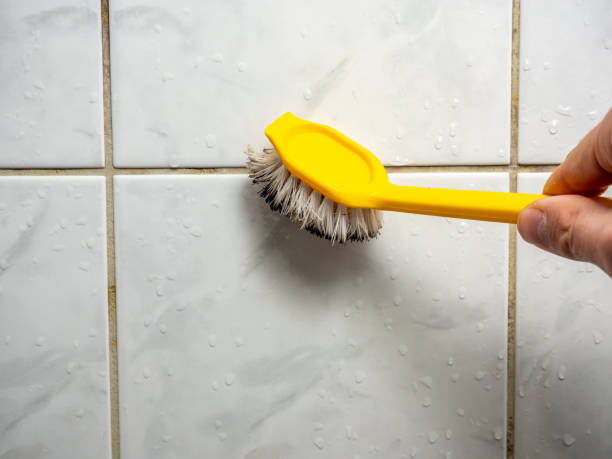 Best Professional Mold Removal  in York, NE