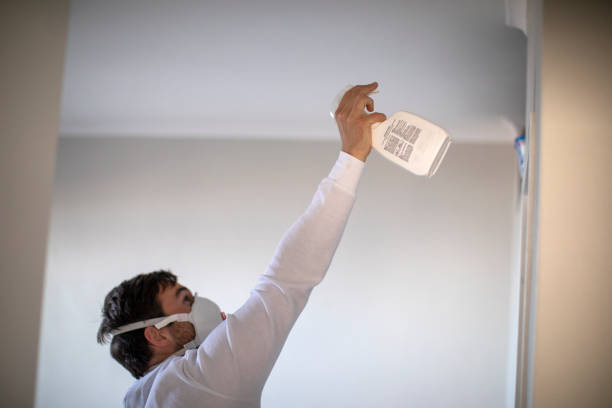 Best Mold Damage Repair  in York, NE