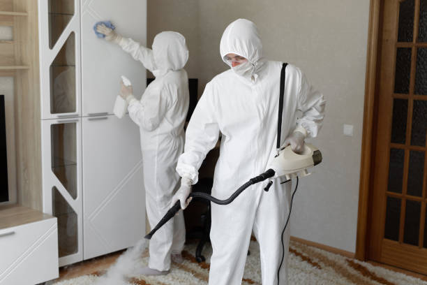 Best Mold Remediation Experts  in York, NE