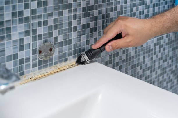 Best Black Mold Removal  in York, NE